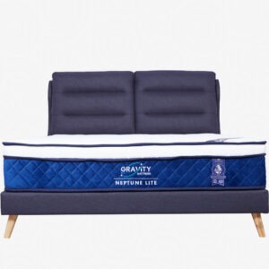 Neptune Lite