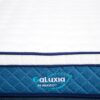 Galuxia - Image 3