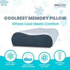 Gravity Coolest Memory Foam Pillow