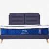 Neptune Lite